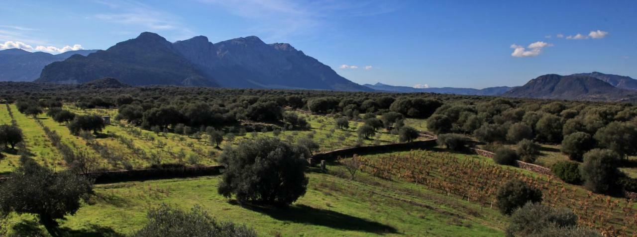 S'Ulumu Guest House Dorgali Exterior photo